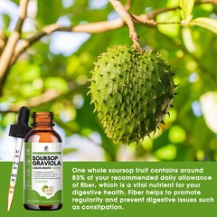 1/2/4*60ml Soursop Graviola Liquid Drops 1800mg Natural Antioxidant Immune Boost