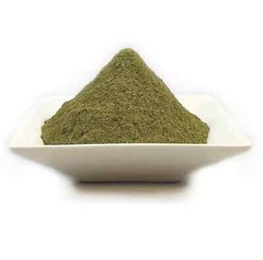 Matico LEAF Ecuadorian Wild Crafted (Piper Aduncum) Powder Potent Free Ship