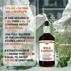 Wild Carrot (Daucus Carota) Dry Seed Tincture, All Natural, Vegan, Pure Liquid E