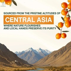 100% Pure Sea Buckthorn Fruit Powder | 3.5 oz (100g) | No Artificial Colours
