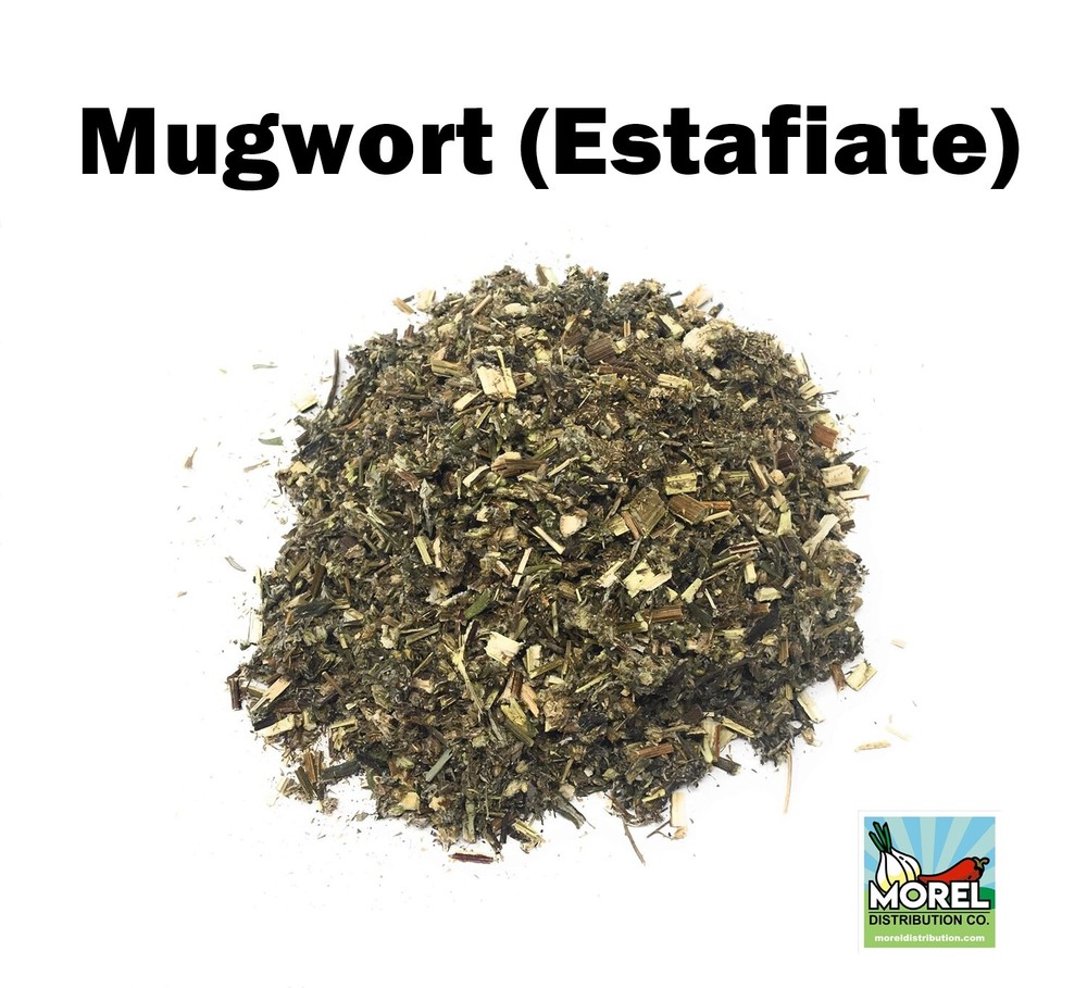 Dried Mugwort Herbal Tea, Estafiate Te, Artemisia Lose Leaves. 2 oz and 4 oz