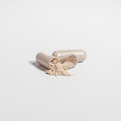 Abreu BioScience Lion’s Mane Mushroom