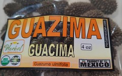 guazima guásimo guácima guásima caulote cuaulote Guazuma ulmifolia semillas 4oz