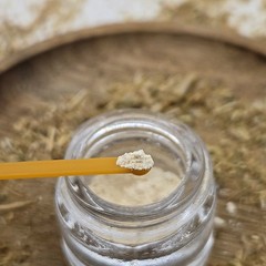 Kanna MT-55 Extract Powder – Sceletium Tortuosum Extract 5.5% Active Alkaloids