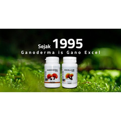 Gano Excel Ganoderma Lucidum 90 Capsules Reishi Lingzhi Herbal Supplement