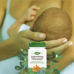 Fenogreco Orgánico Puro – Fenugreek Seed Capsules – Azucar Sangre Saludable