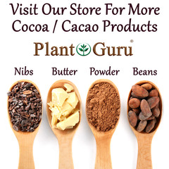 Raw Cacao / Cocoa Beans Whole Chocolate Arriba Nacional Bean 1 oz to 15 Lb Bulk