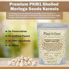2500 Moringa Oleifera Seeds Kernel 2 lbs. Jar Bulk SHELLED Fresh