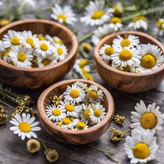 Chamomile Extract Chamomile Tincture Relax Insomnia Sleep Aid 2oz USA