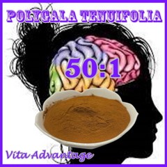 Polygala Tenuifolia 50:1 Depression, Anxiety and Sleep 50g