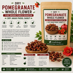 Dry Pomegranate Whole Flower – Punica granatum