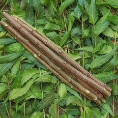 Organic Chewing Stick Datun 100% Natural Neem Teeth Cleaner Toothbrush 15 PCs.