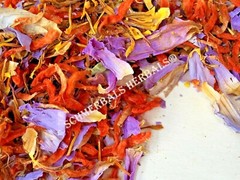 Herbal Blend, Organic Klip Dagga and Organic Blue Lotus ~ Schmerbals Herbals