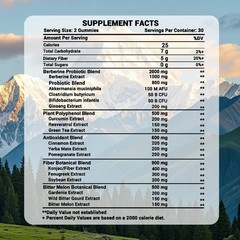 4 Bottles Lean PM 5 Proprietary Blends Gummies 240 Count
