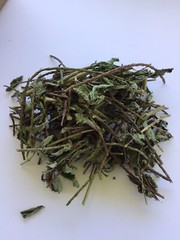 Blue Vervain Herb Blue Porter weed Dried Vervain 100% Pure