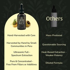 Maca Extract 50ml – Vegan Plant-Based Drops for Endurance, Focus & Vitality – 60