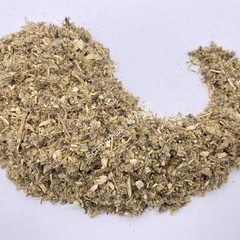 Mugwort, Artemisia vulgaris, Herb ~ Schmerbals Herbals®