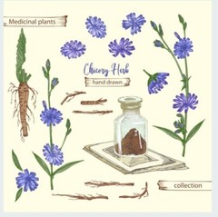 Chicory Root Roasted Granules Natural Caffeine-Free Coffee Substitute 1/4/8oz