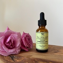 Damiana Tincture | Turnera Diffusa | Organic Damiana Leaf