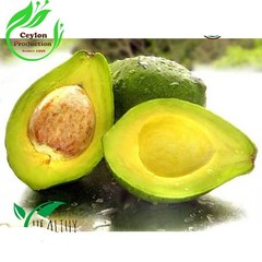 Organic Avocado Fruit Powder Ground Dried Natural Wellness Superfood pure