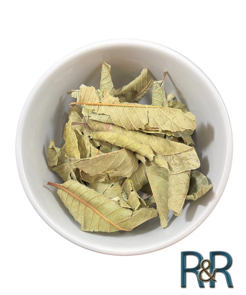 Peruvian Hoja de Guayaba Organic ( Guava Leaves ) Fresh Batch South American
