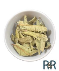 Peruvian Hoja de Guayaba Organic ( Guava Leaves ) Fresh Batch South American