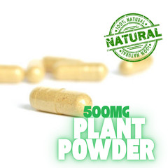 Chamomile Capsules Vegan 60/120 Ct | Natural Relax & Sleep Support | Non-GMO