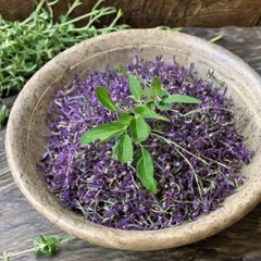 Alfalfa Extract Alfalfa Tincture Easy to Use Made in the USA 2 oz
