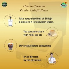 Natural & Ayurvedic Zandu Pure Himalayan Shilajit Resin, 20g F509