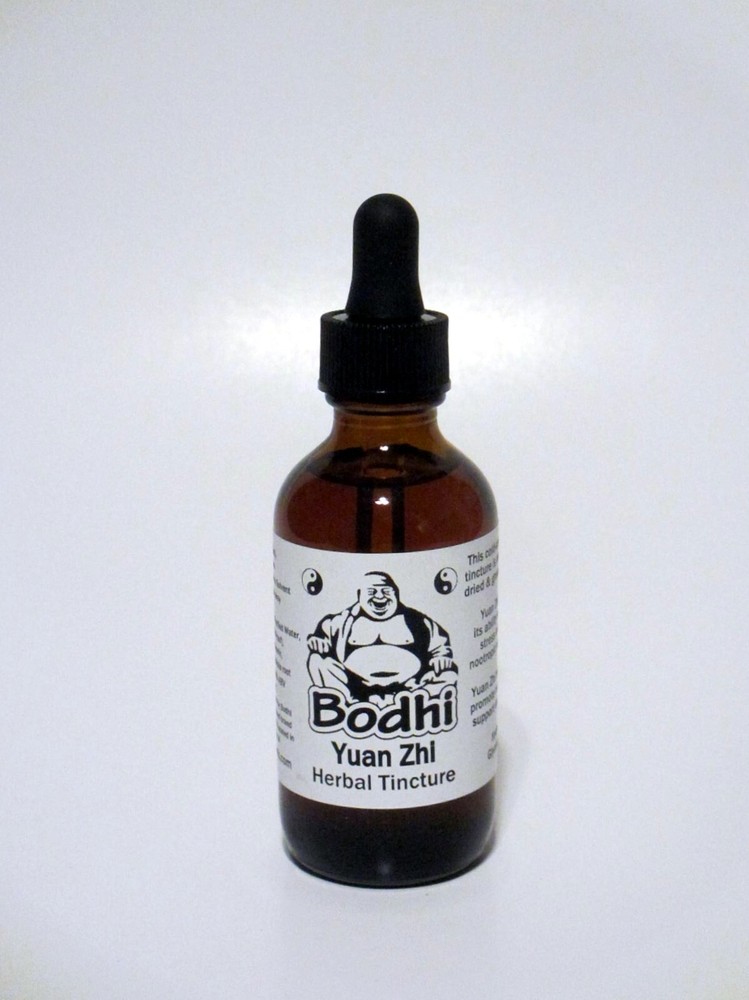 Yuan Zhi (Polygala Tenuifolia) Herbal Tincture – Promotes Brain & Neural Health
