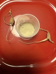 Wild American Ginseng Powder 16.4% Ginsenosides 164 mg/g Lab Tested