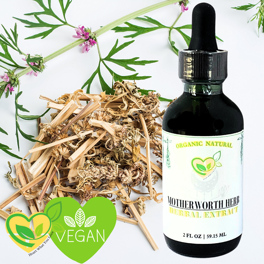 Motherwort Tincture 2oz | Alcohol-Free Gut & Calm Aid Natural Liquid Herbal Drop