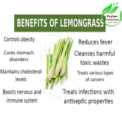 Lemongrass Herbal Tea Bags Organic Cymbopogon Citratus Wellness Tea