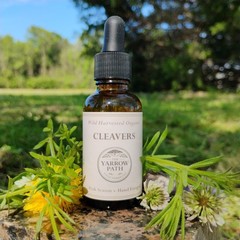 Organic Cleavers Extract Fresh Cleavers tincture, Wildcrafted 1 oz, lymph herb