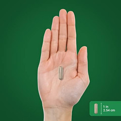 2400mg Valerian Root Extract 120 Capsules Sleep Aid Support