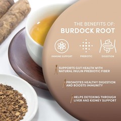 Organic Burdock Root – 1 lb – 100% Arctium lappa – Raíz de Bardana – Cut & Sift,