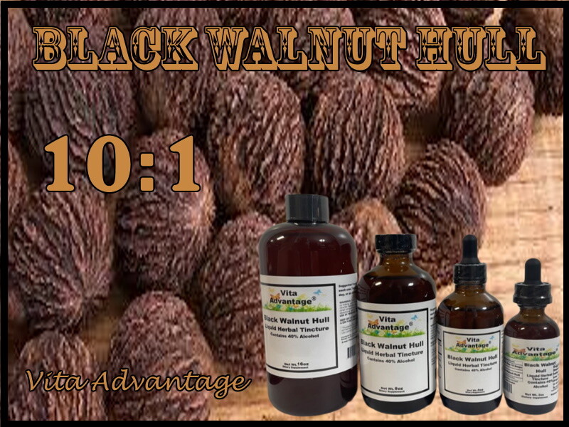 Black Walnut Hull Tincture 10:1 Highest Quality
