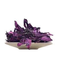 ORGANIC RED Lotus C/S (Nymphaea Rubra) USA Ultra Fast Ship A+ #1 Rated Fresh