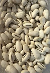10 Sword Seeds, 刀豆种子，fresh 2025