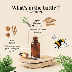 White Pine Needle Tincture – Wild Organic Pine Extract