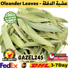 Oleander Leaves Dried Dafla Natural Fresh Herb Organic AA دفلى دفلا عشبة الدفلة