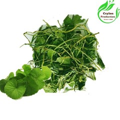 Gotu Kola Centella asiatica Leaves ground powder Dried Organic Herbal pennywort