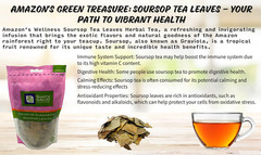 Hojas de Guanabana Te Herbal Infusion Value Pack (105g) Soursop Leaves Tea