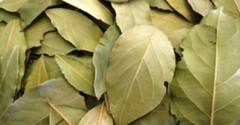 Organic DRIED SIDR LEAVES, Natural, Healthy from Egypt اوراق السدر المجففه