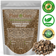 200 Moringa Oleifera Seeds 2 oz. WINGLESS Fresh Organic Semillas de Moringa Tree