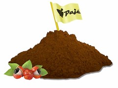 Guarana seed powder 16oz 1lb – weight loss, energy boost, memory sharpness PAJE