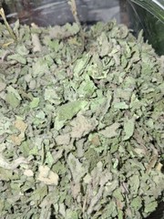 Premium FIRST-YEAR Mullein Leaf (Verbascum thapsus) Organically Grown