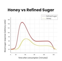 Better Alt Pure Himalayan Shilajit Energy Sticks with Organic Honey, 30 Sticks