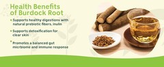 Organic Burdock Root – 1 lb – 100% Arctium lappa – Raíz de Bardana – Cut & Sift,