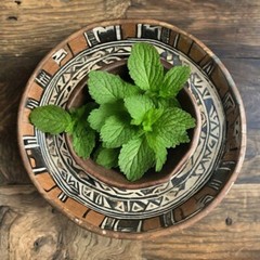 Lemon Balm Extract Lemon Balm Tincture Organic Drops (Melissa officinalis) USA
